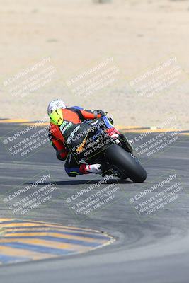 media/Mar-10-2024-SoCal Trackdays (Sun) [[6228d7c590]]/9-Turn 8 Backside (1150am)/